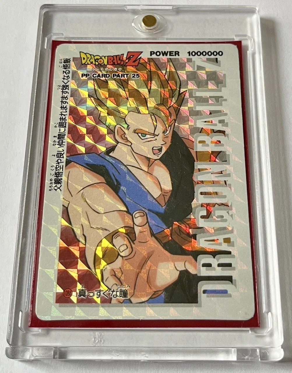 PP Hard 1086 Box.jpeg