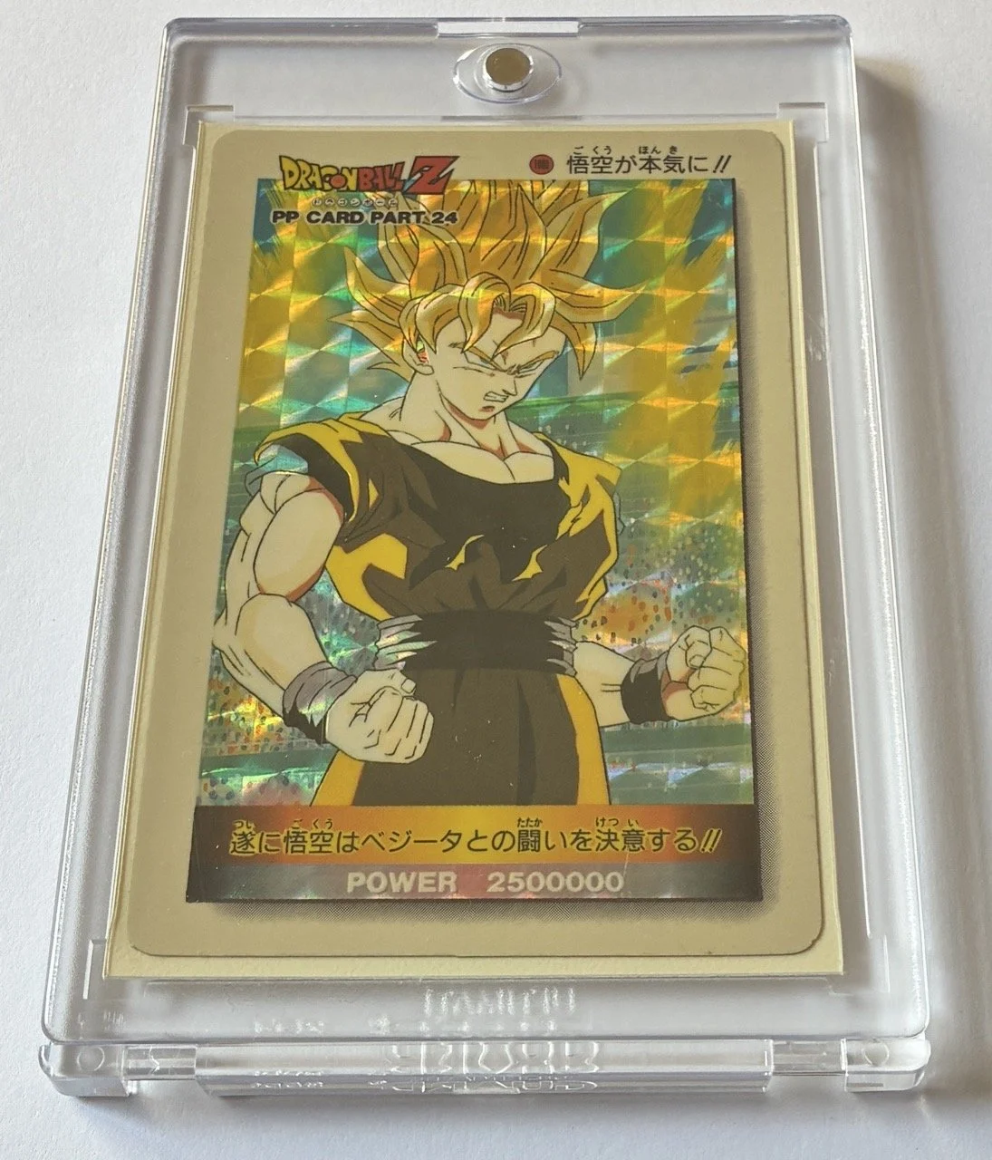 IMG_0090 - Grande.jpeg