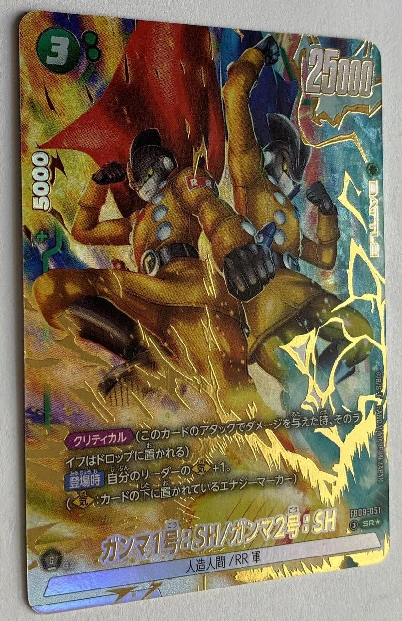 FB09-051 SR* Zoom 2.jpeg