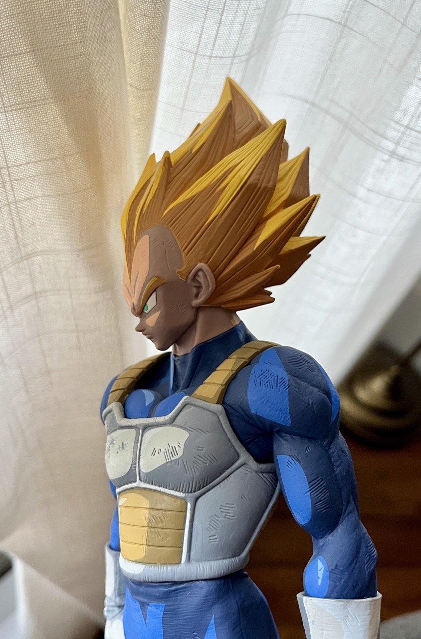 SMSP Vegeta Two Dimensions