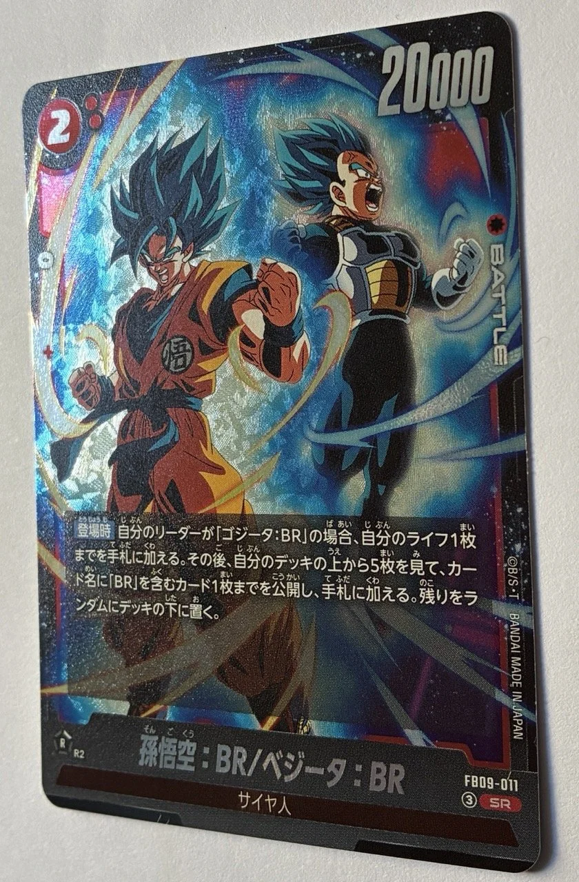 FB09-011 SR Zoom.jpeg