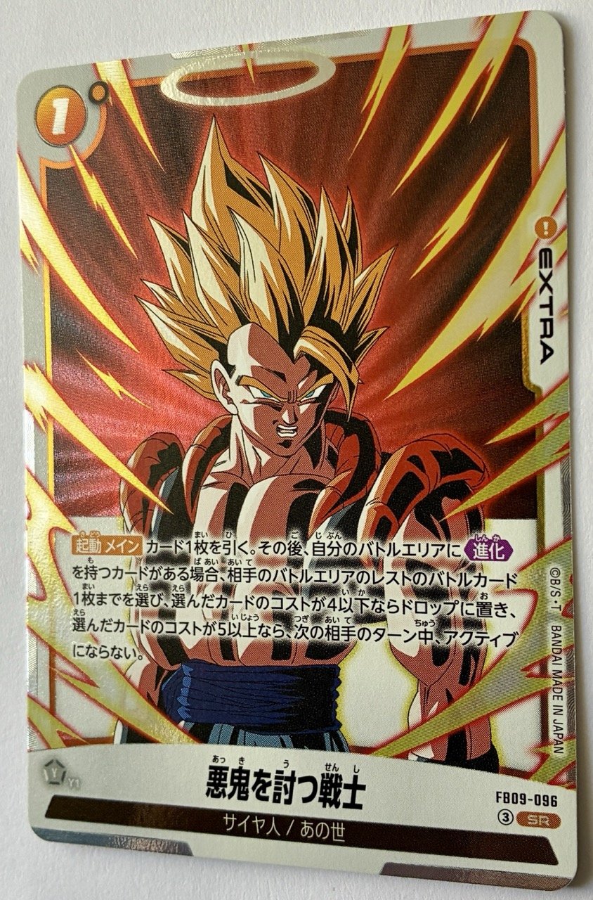 FB09-096 SR Zoom.jpeg