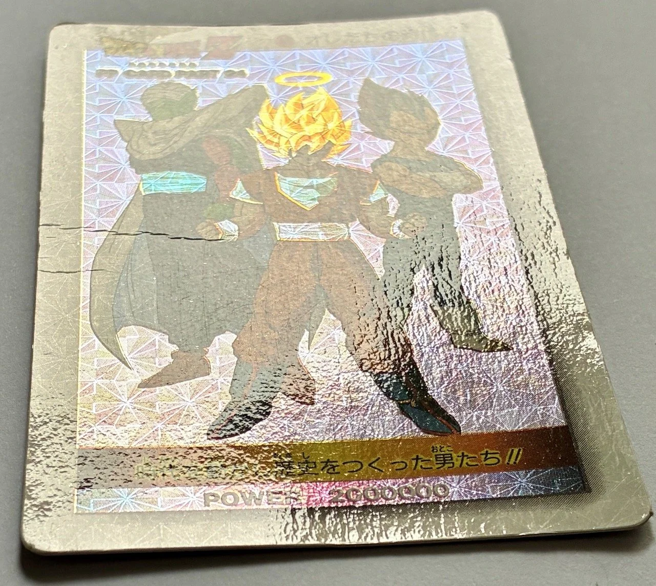 PP Hard 1037  Light.jpeg