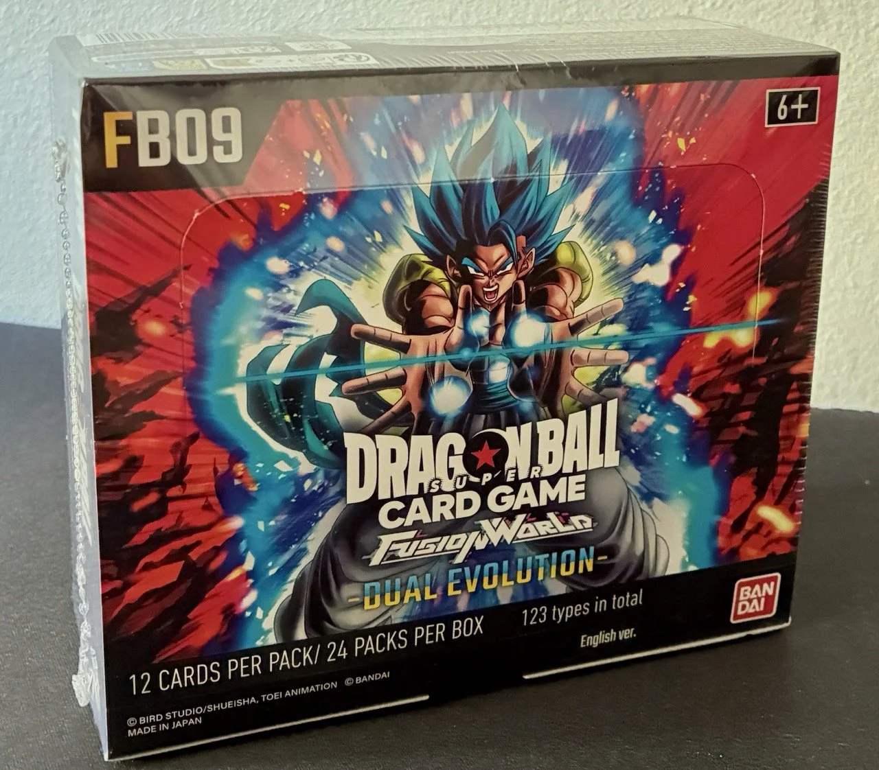Display Fusion World FB09 English.jpeg