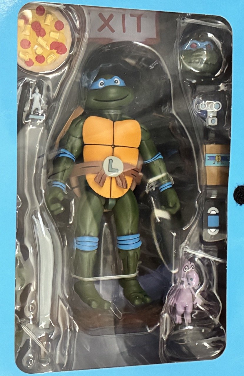 Leonardo Open Zoom.jpeg