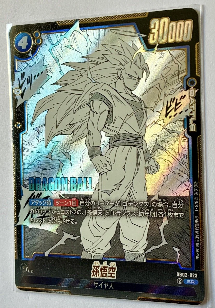 SB02-023 SR Zoom.jpeg