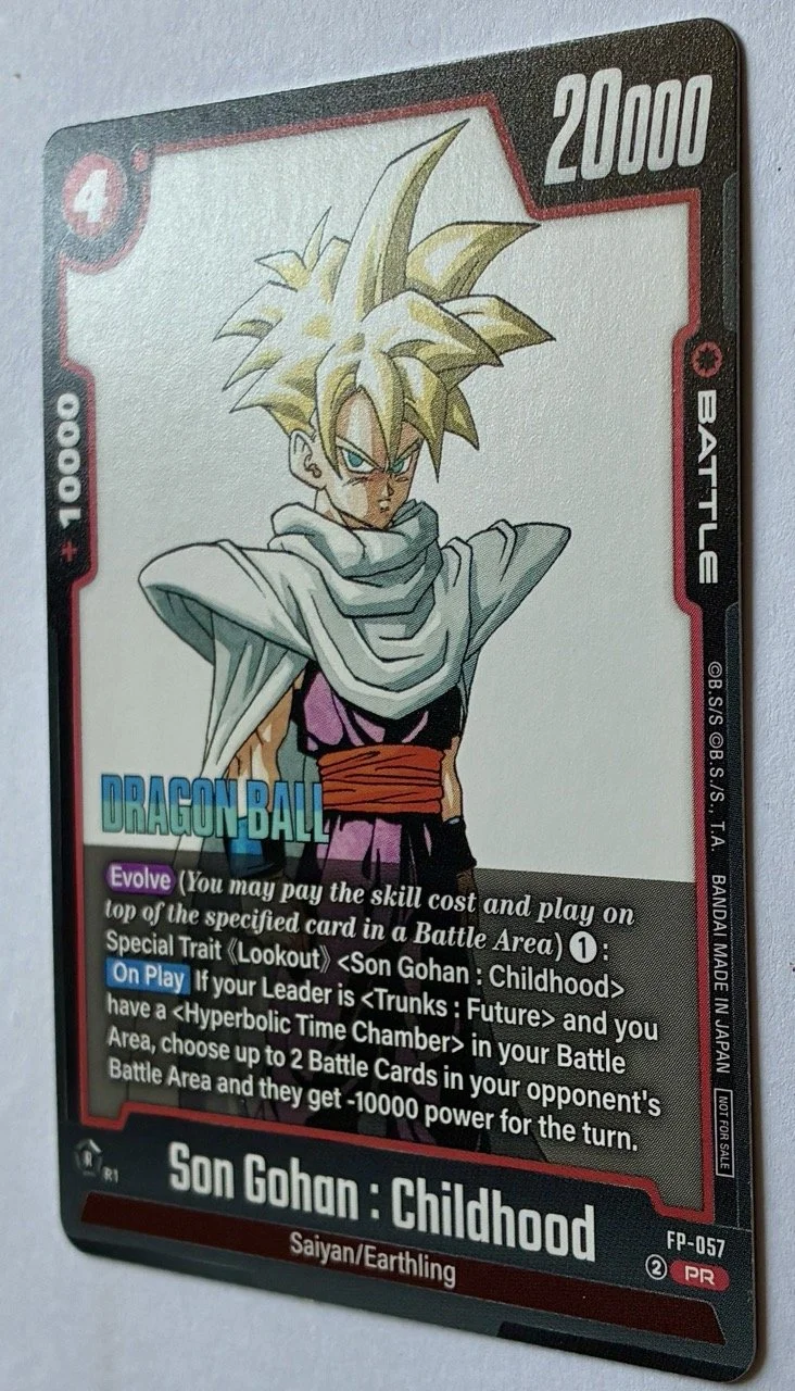 FP-057 PR ENG Zoom.jpeg