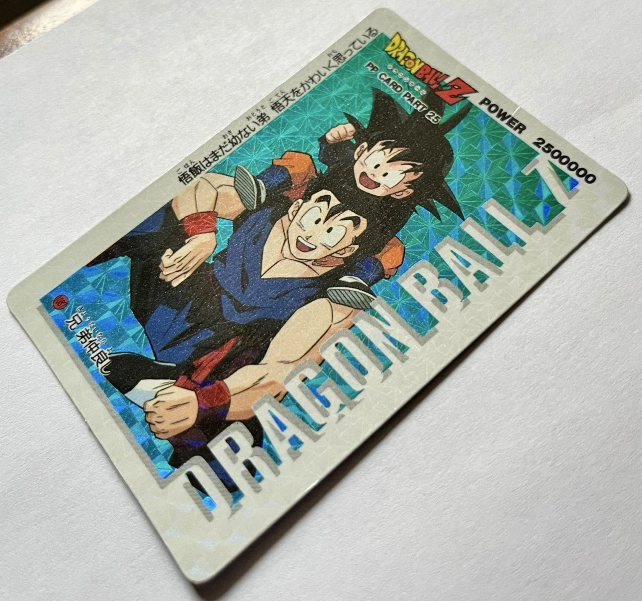 PP Hard 1087 Zoom.jpeg