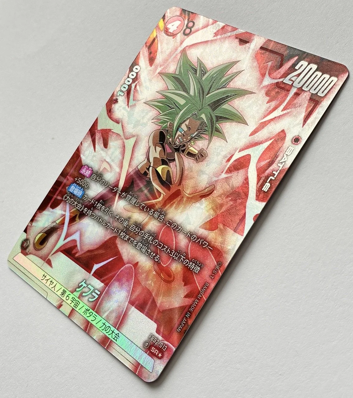 FB02-013 SR* Light.jpeg