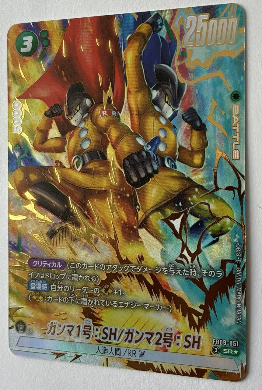 FB09-051 SR* Zoom.jpeg