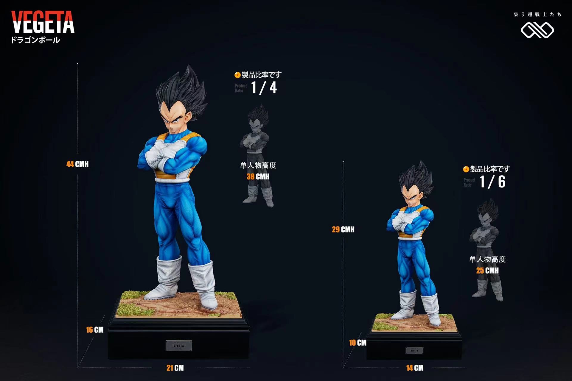 Infinite Studio Vegeta 1/4 vs 1/6