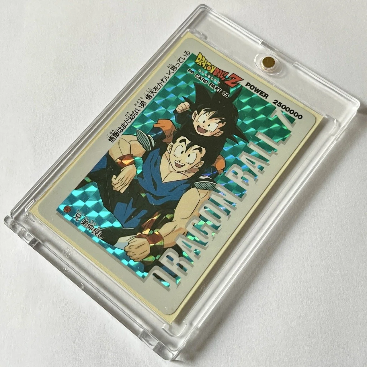 PP Soft 1087 Box 2.jpeg