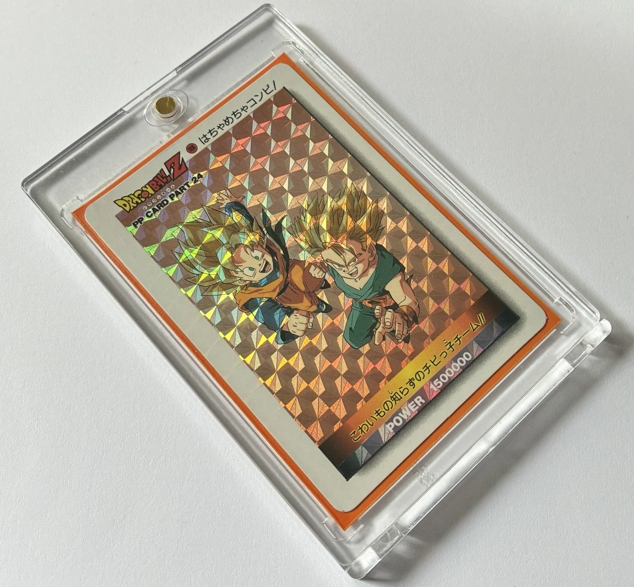 PP Hard 1036 Box 2.jpeg