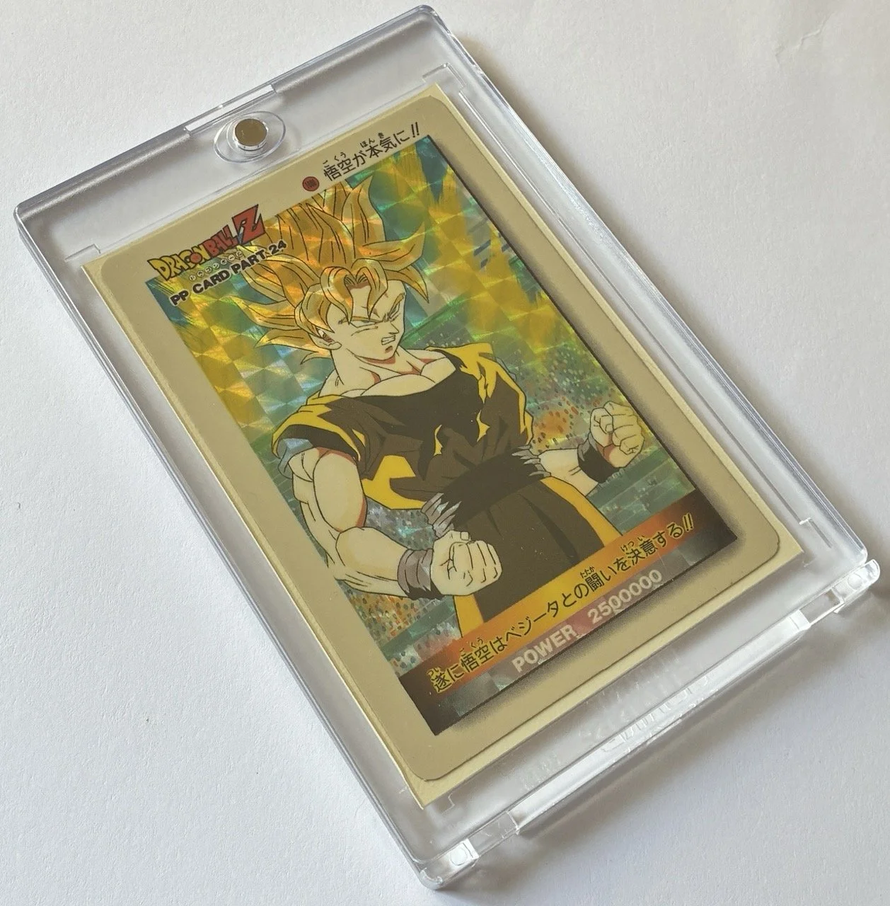 IMG_0089 - Grande.jpeg