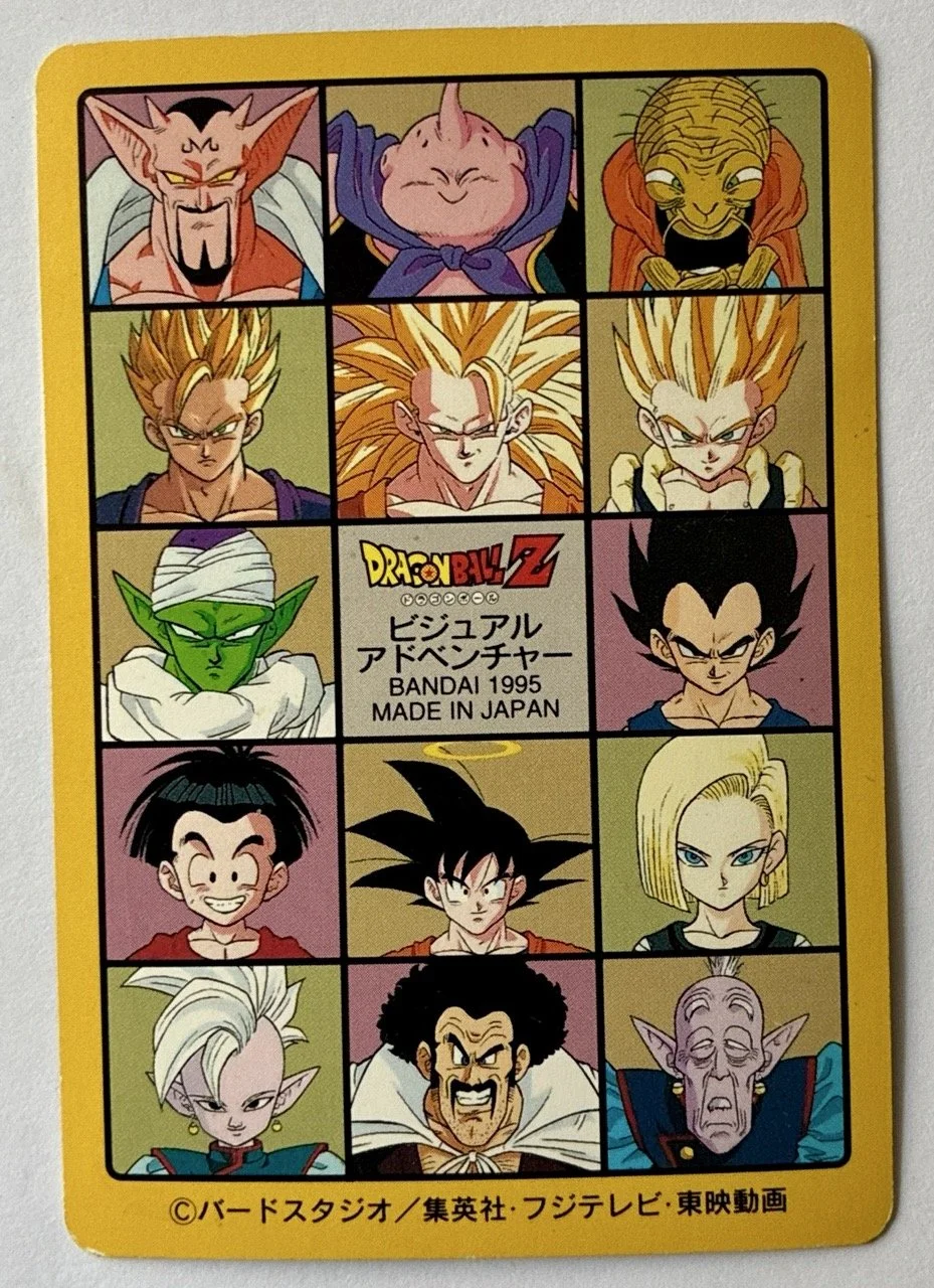 Visual Adventure 239 Back.jpeg