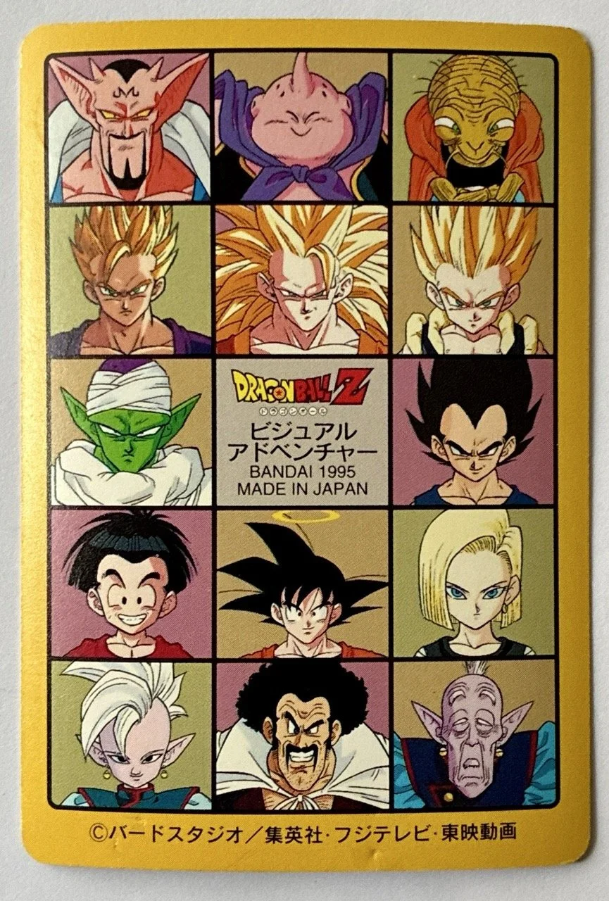 Visual Adventure 245 Back.jpeg