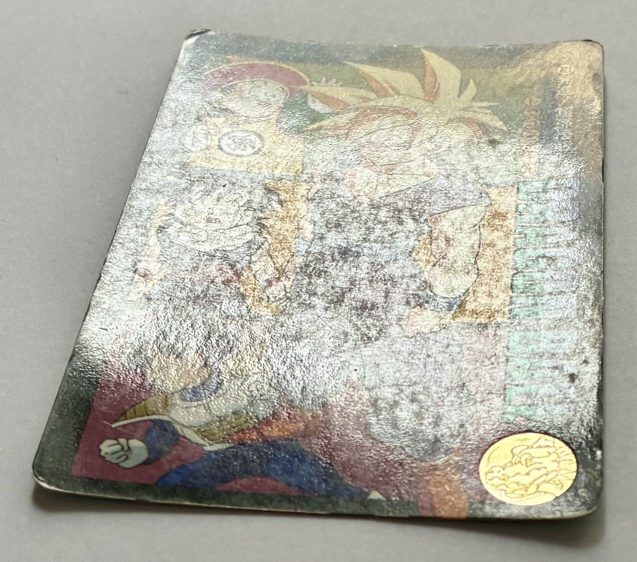 Visual Adventure 221 bis Light.jpeg