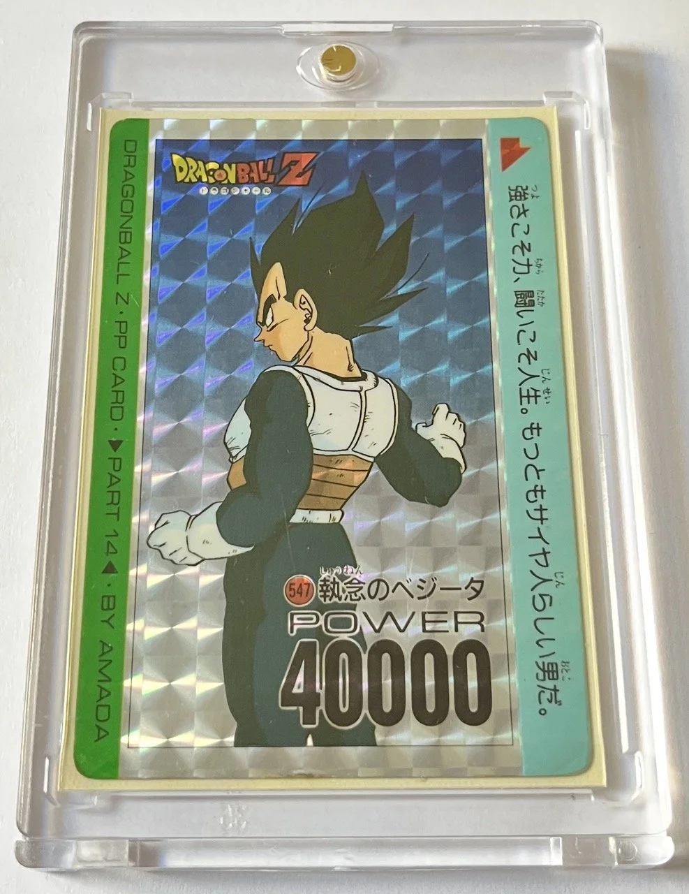 PP 547 Soft Box 1.jpeg