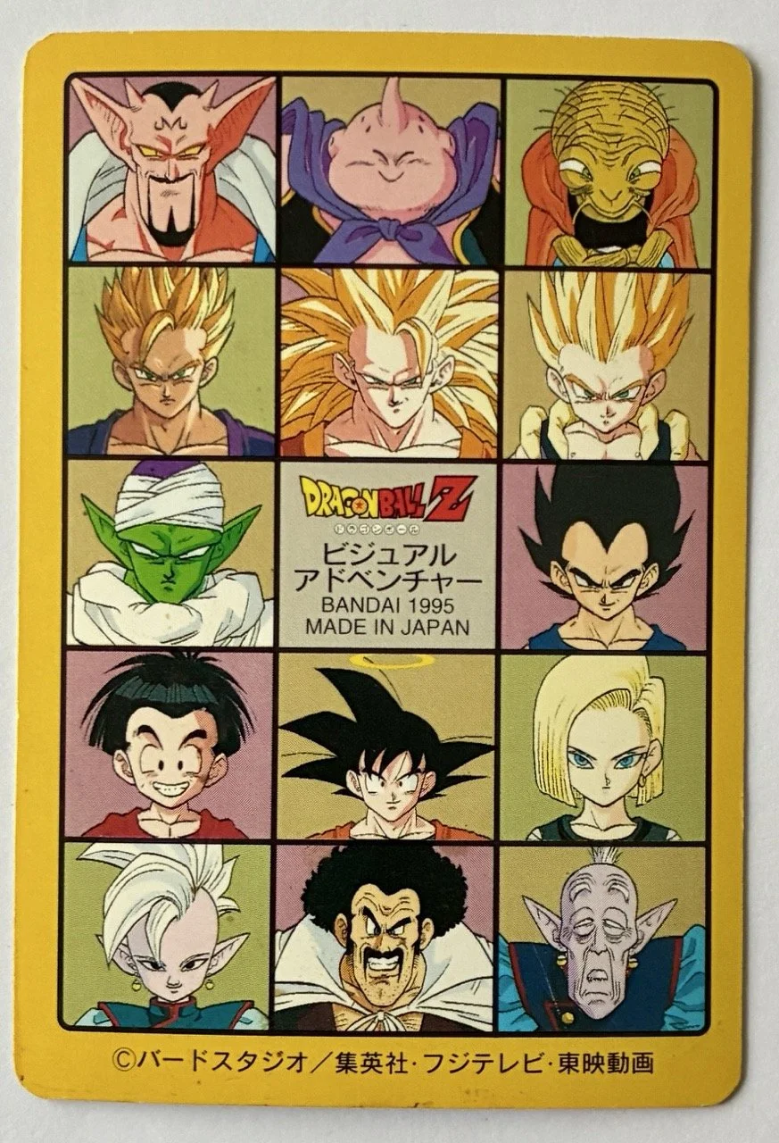 Visual Adventure 230 Back.jpeg