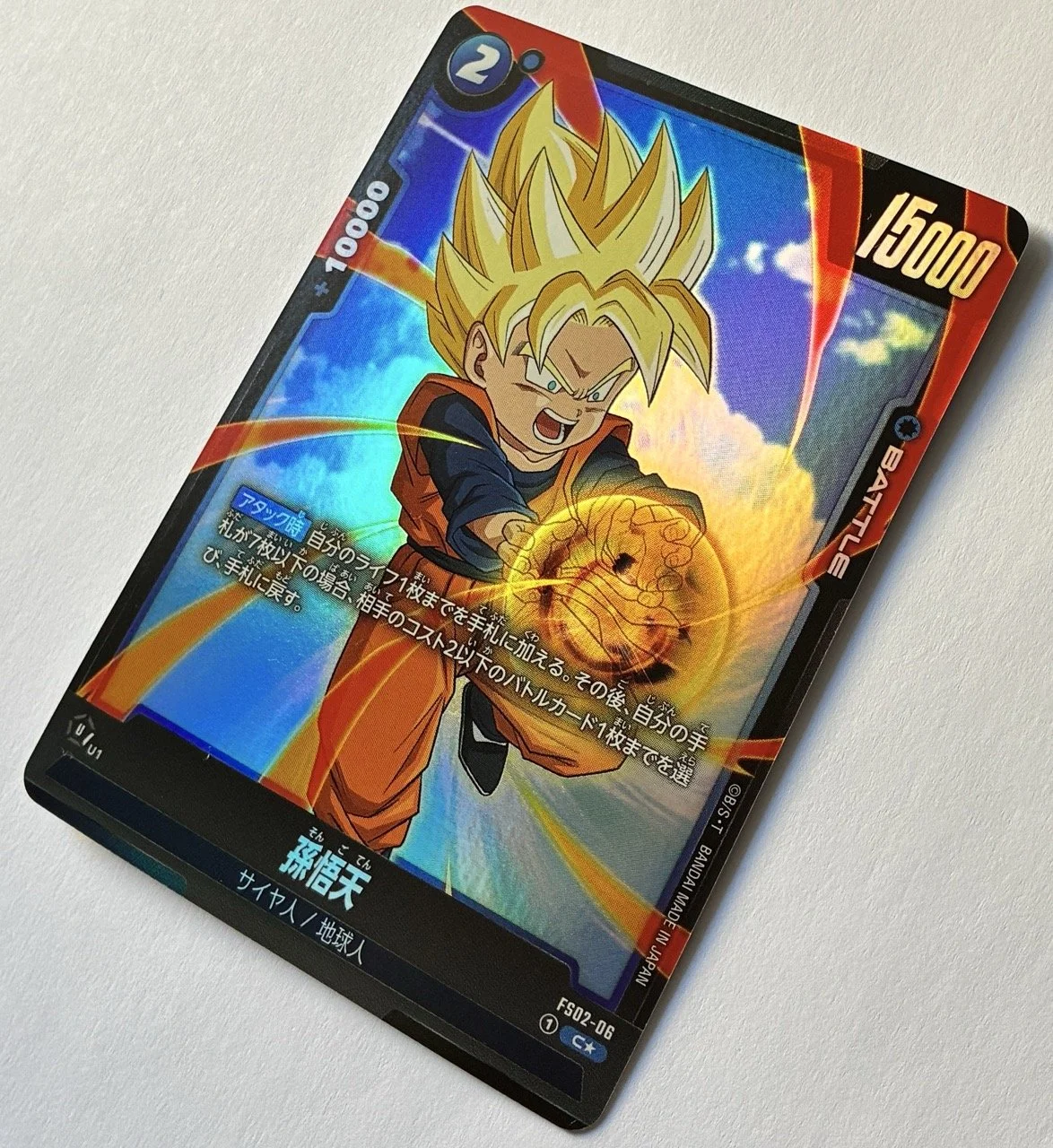 FS02-06 C* Side.jpeg