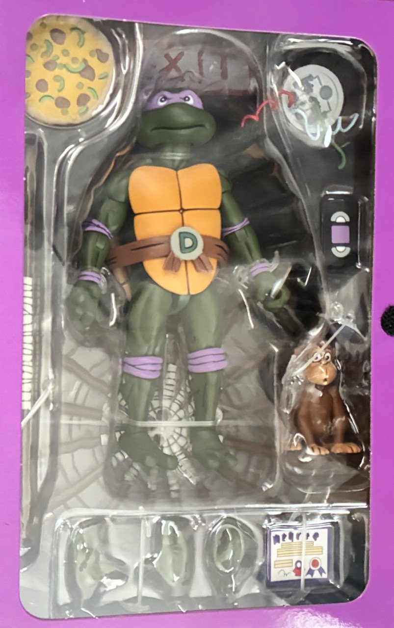 Donatello Open zoom.jpeg