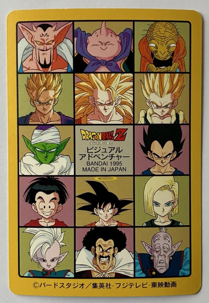 Visual Adventure 229 Back.jpeg