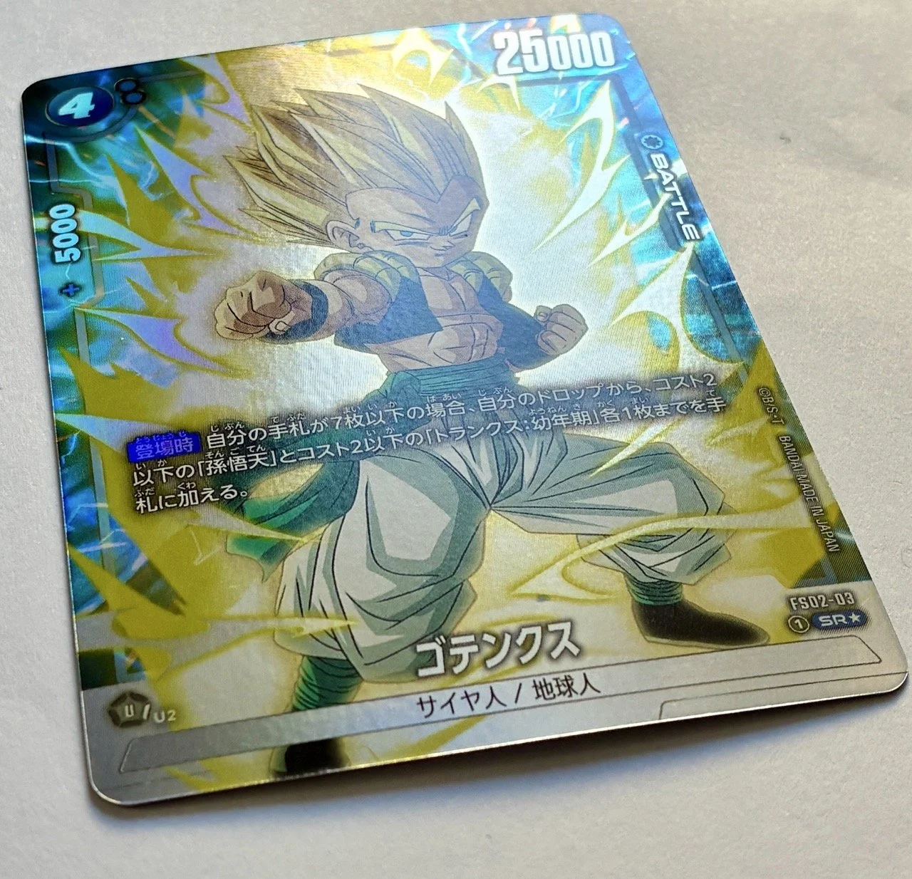 FS02-03 SR* Light.jpeg