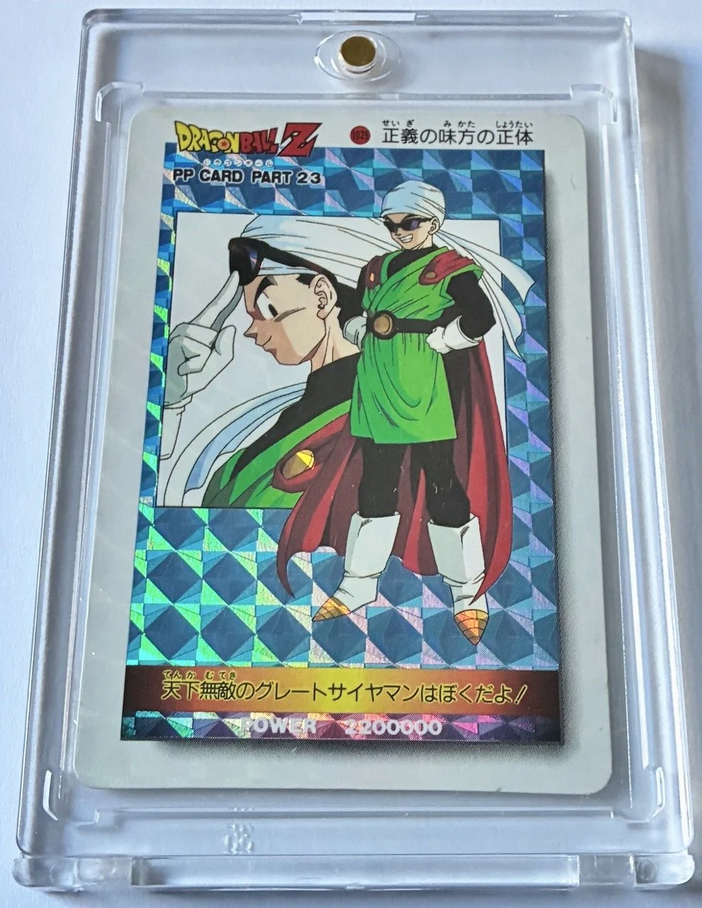 PP Hard 1025 Box.jpeg