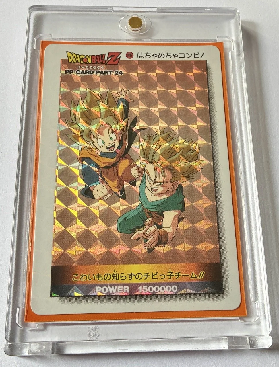 PP Hard 1036 Box.jpeg