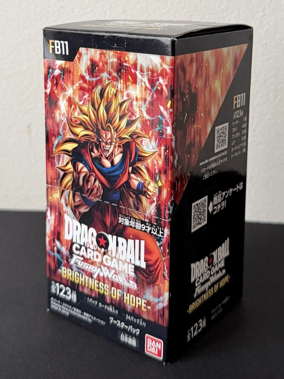 Fusion World FB11 Display JP.jpeg