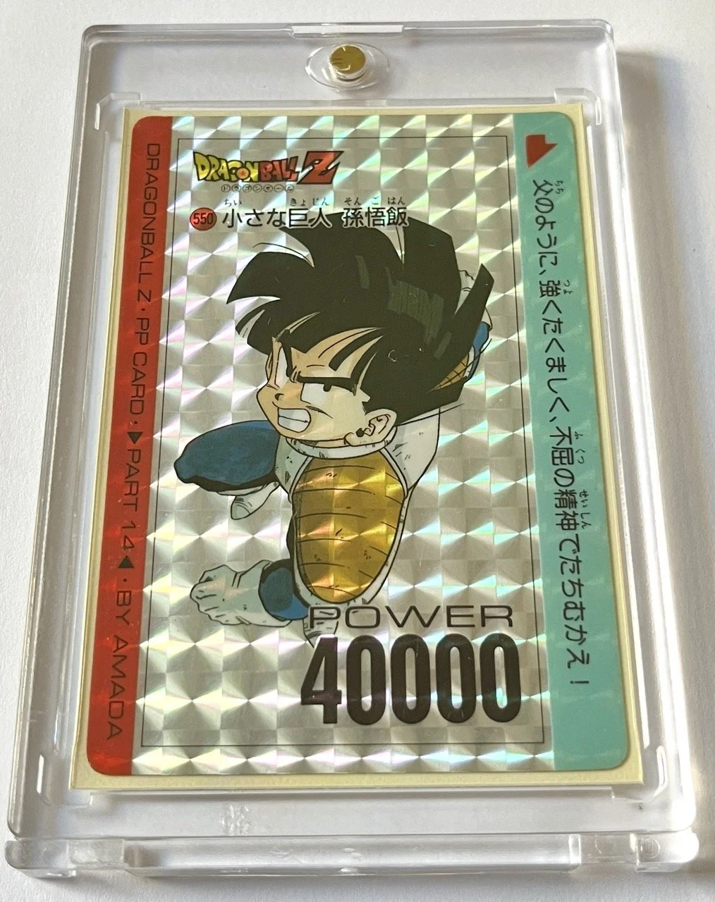 PP 550 Soft Box 1.jpeg