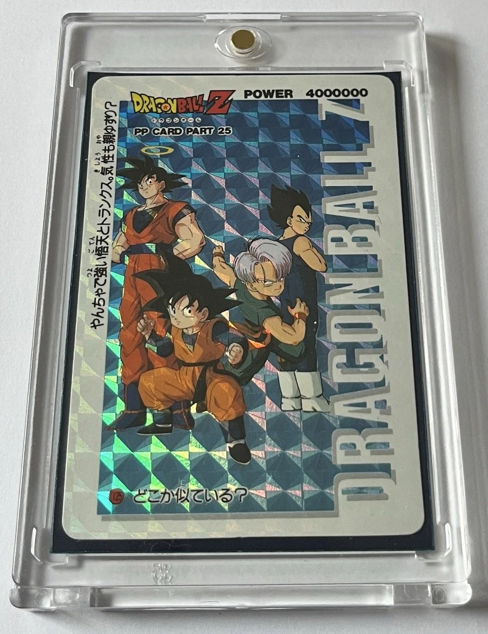 PP Hard 1125 Box.jpeg