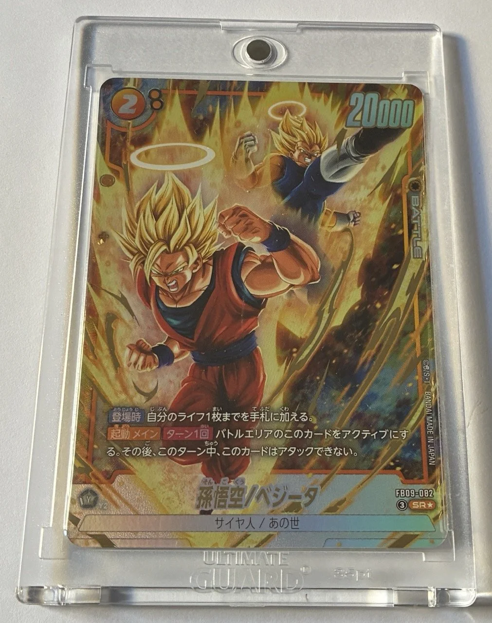 FB09-082 SR* Box.jpeg