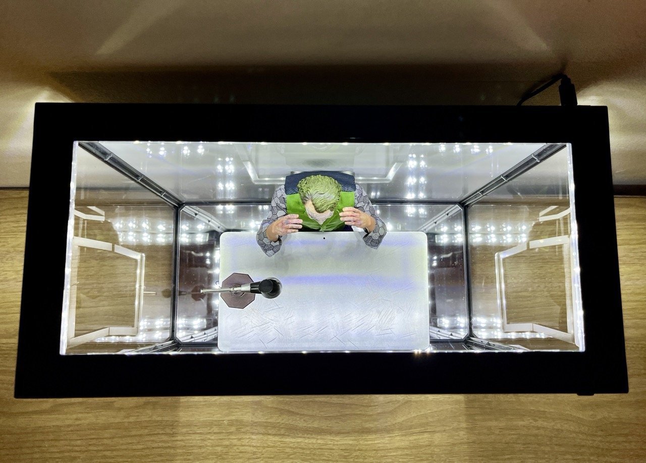 Vitrines avec effet miroir