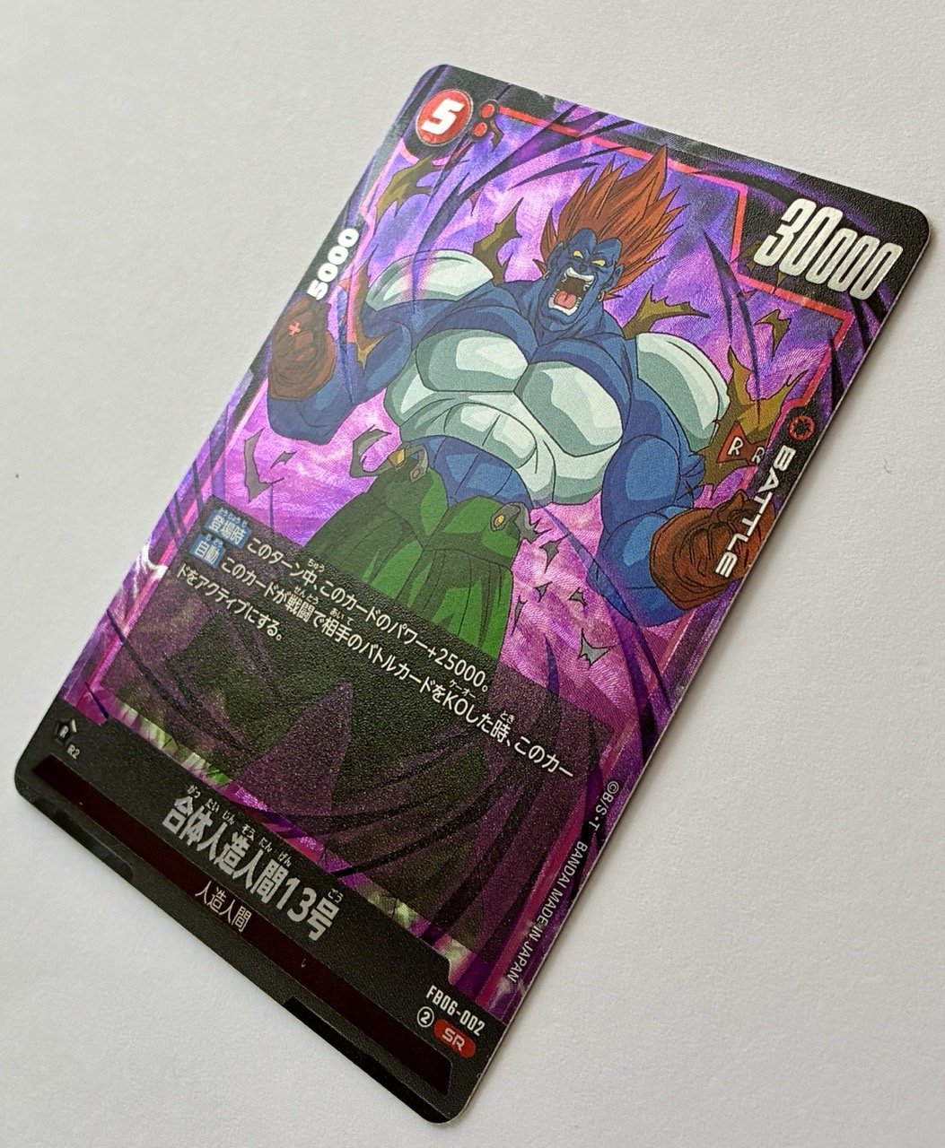 FB06-002 SR Light.jpeg