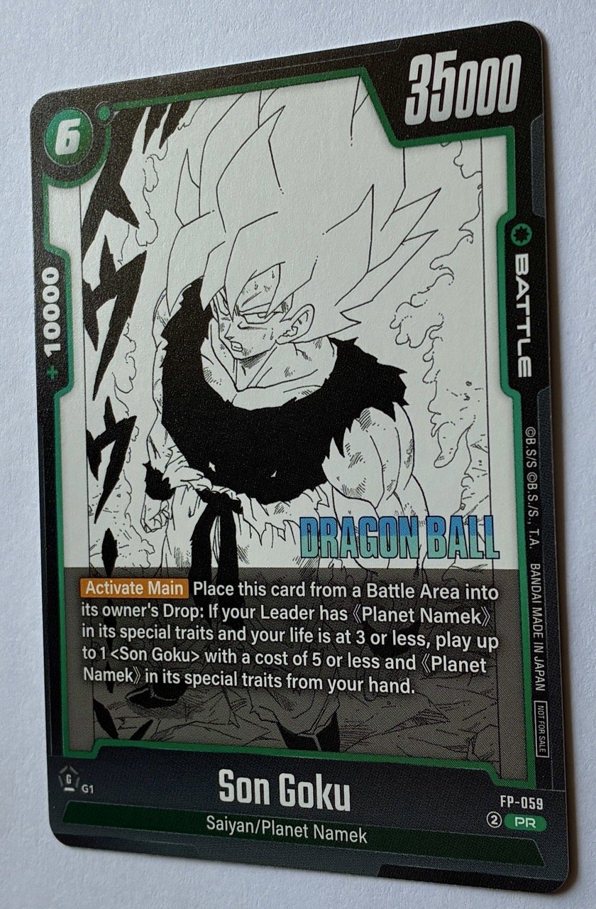 FP-059 PR ENG Zoom.jpeg
