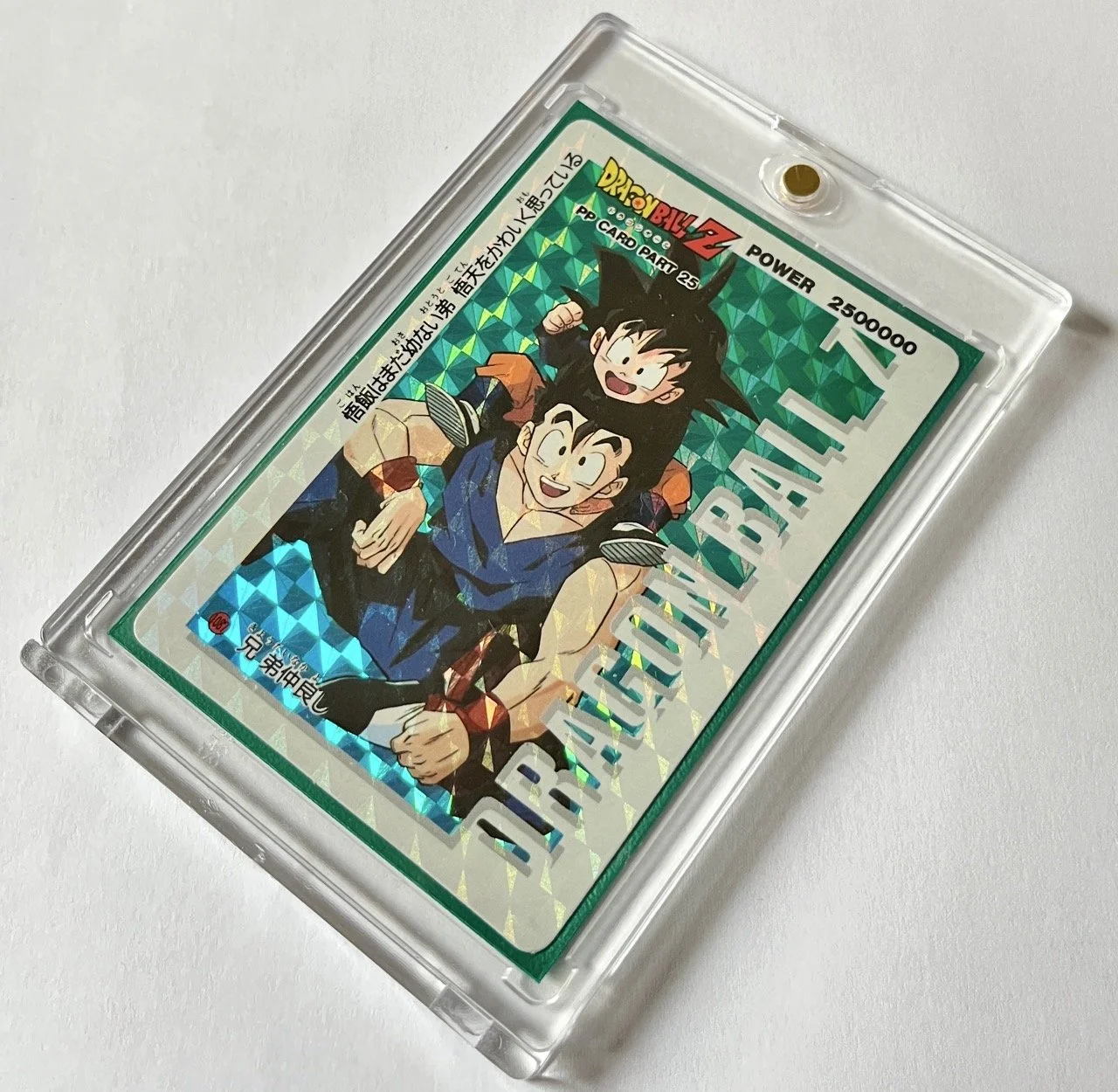 PP Hard 1087 Box 2.jpeg