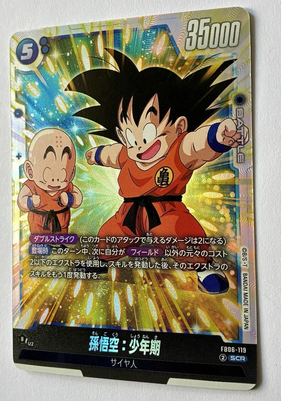 FB06-119 SCR Zoom.jpeg