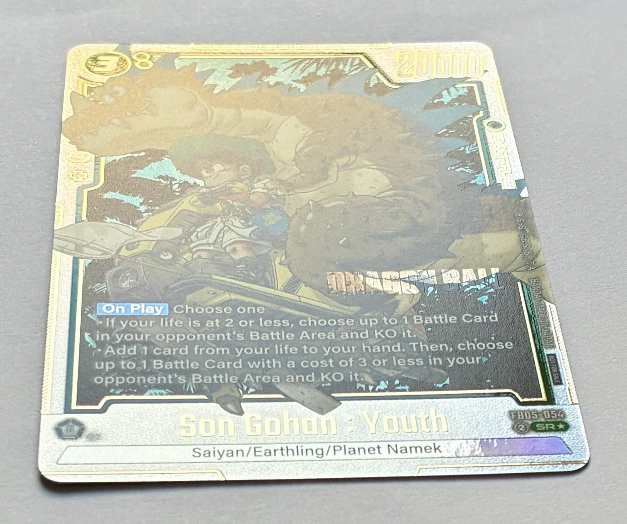 FB05-054 SR* Light copie.jpeg