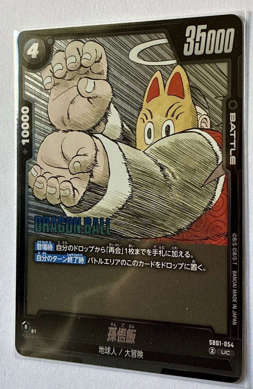 SB01-054 UC Zoom.jpeg