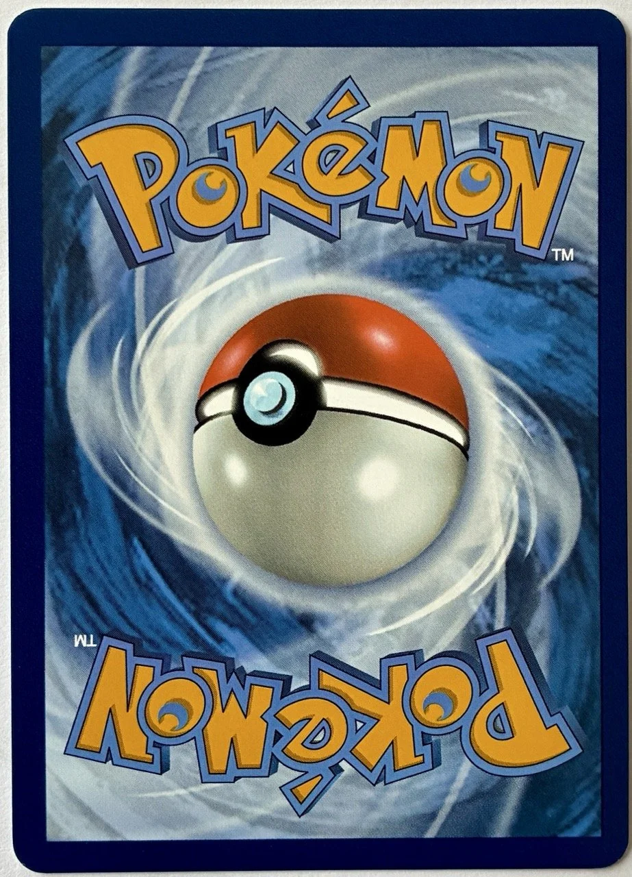 Back.jpeg (copie) (copie) (copie) (copie) (copie)