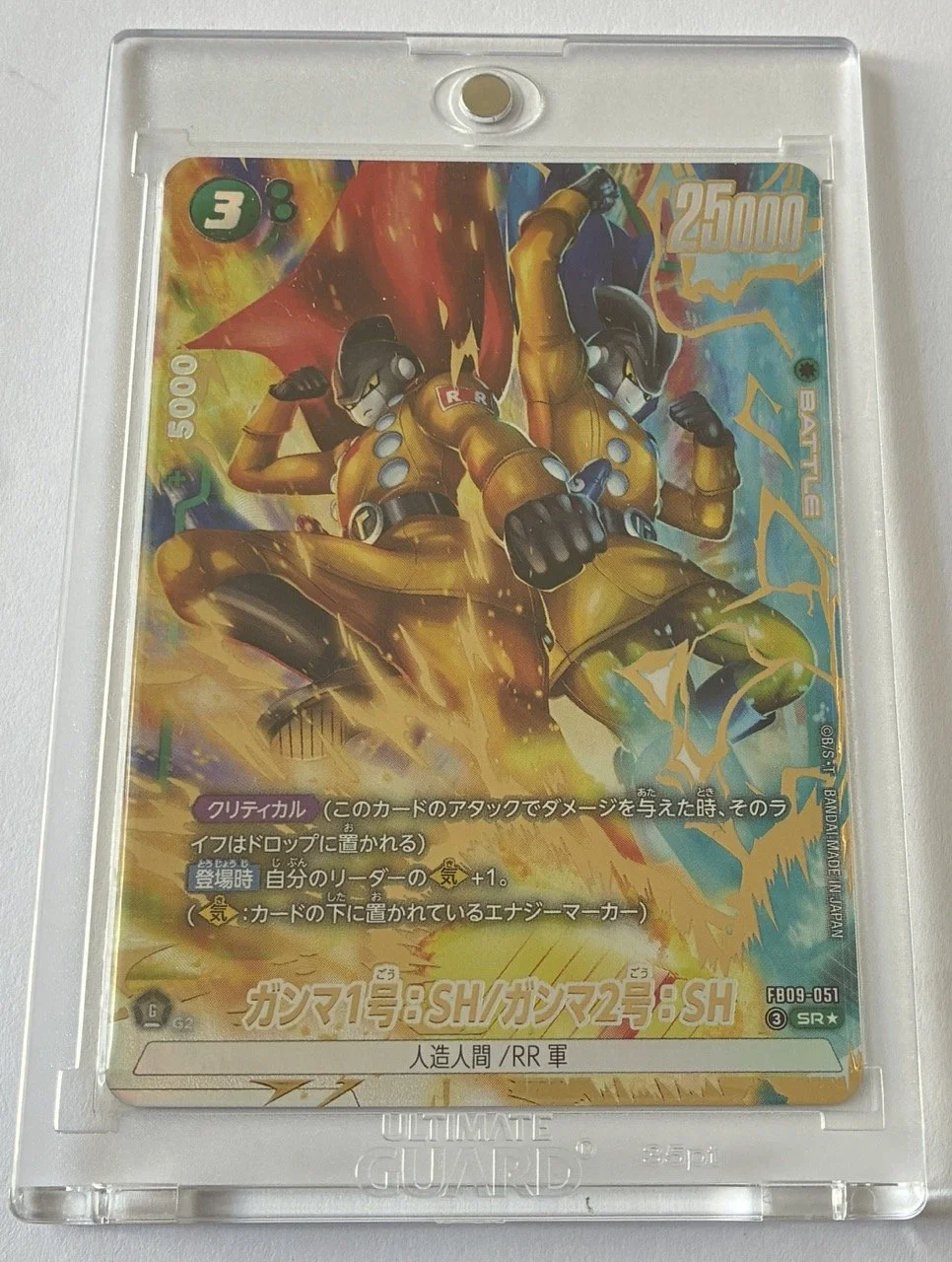 FB09-051 SR* Box.jpeg