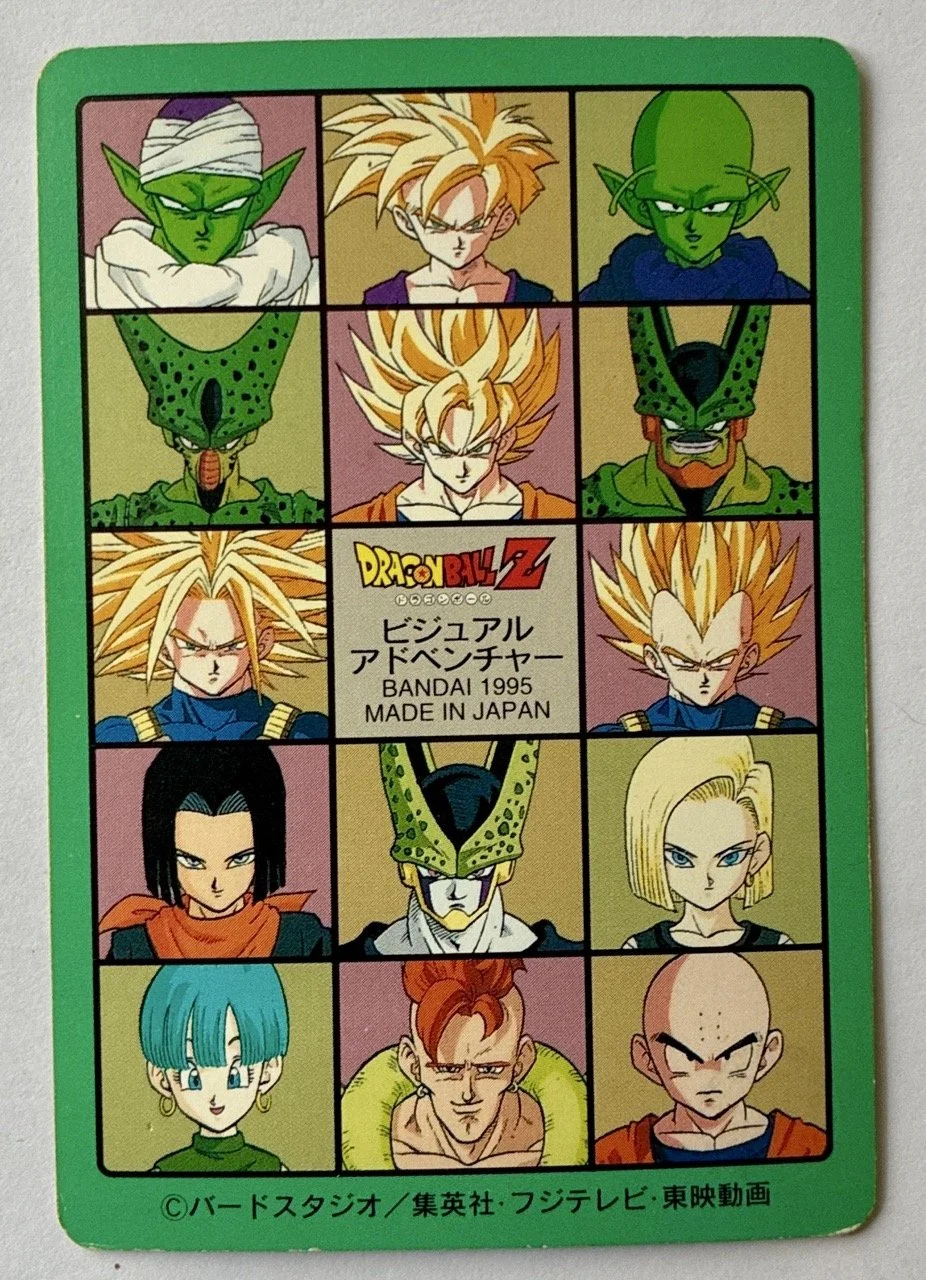 Visual Adventure 224 Back.jpeg