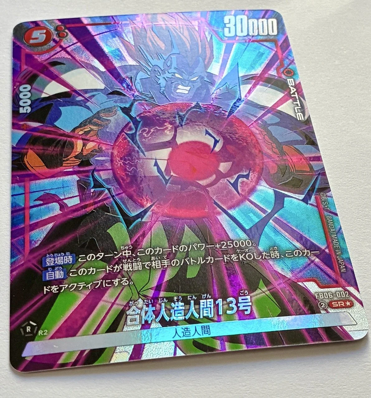 FB06-002 SR* Light.jpeg