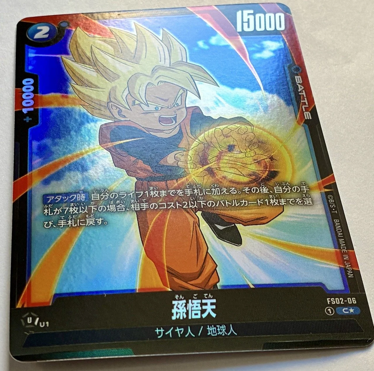 FS02-06 C* Light.jpeg