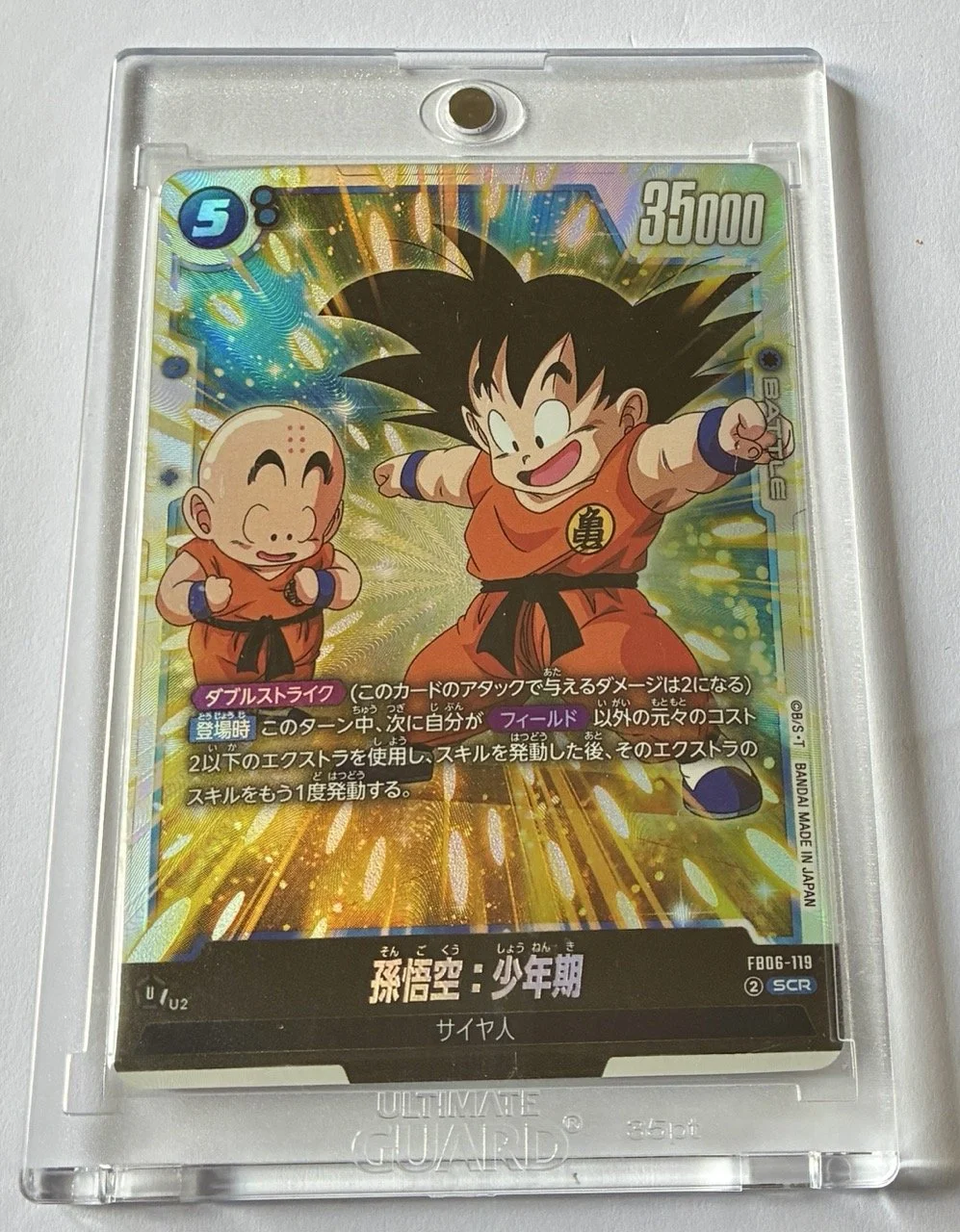 FB06-119 SCR Box.jpeg