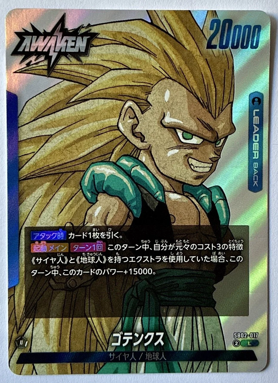 SB02-017 L Back.jpeg
