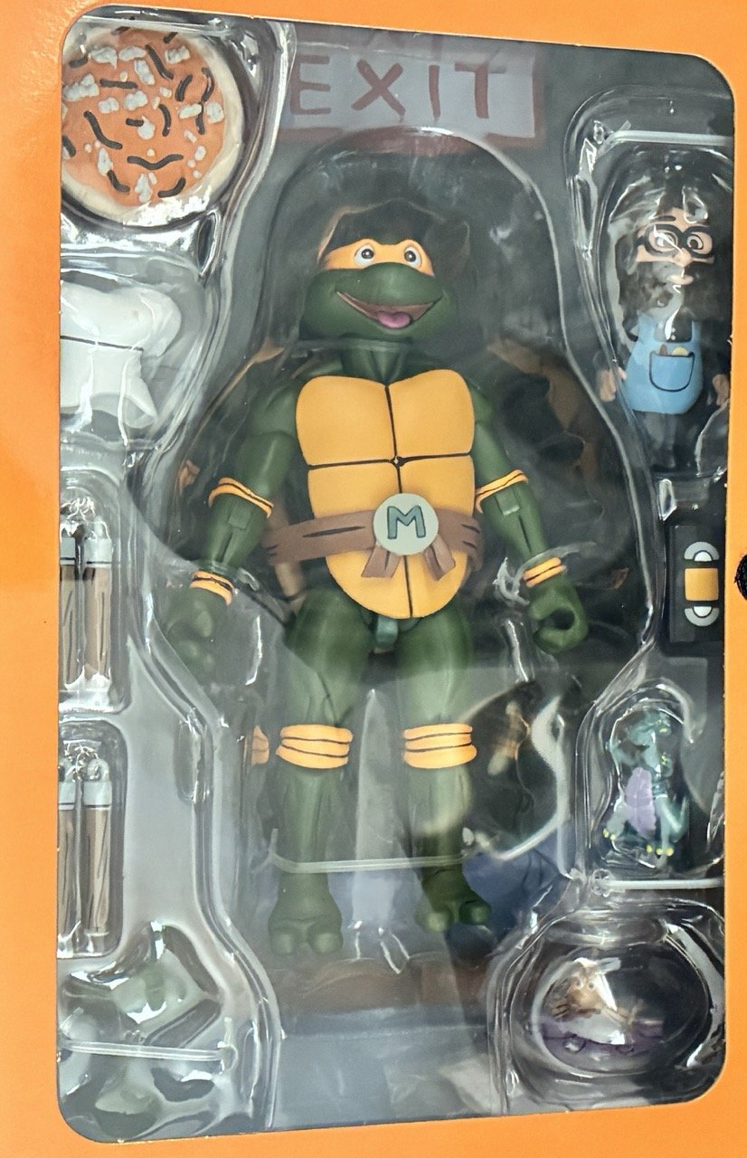 Michelangelo Open Zoom.jpeg
