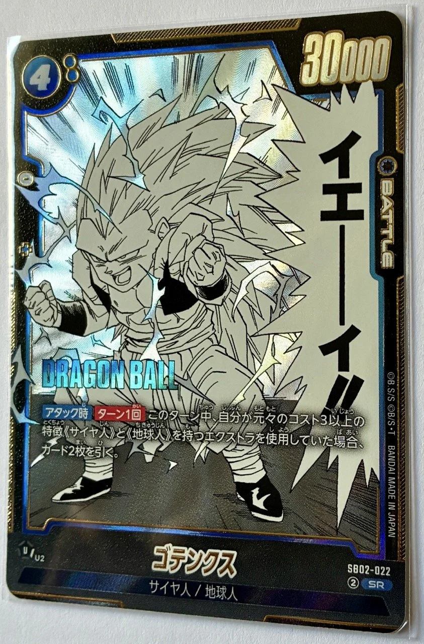 SB02-022 SR Zoom.jpeg