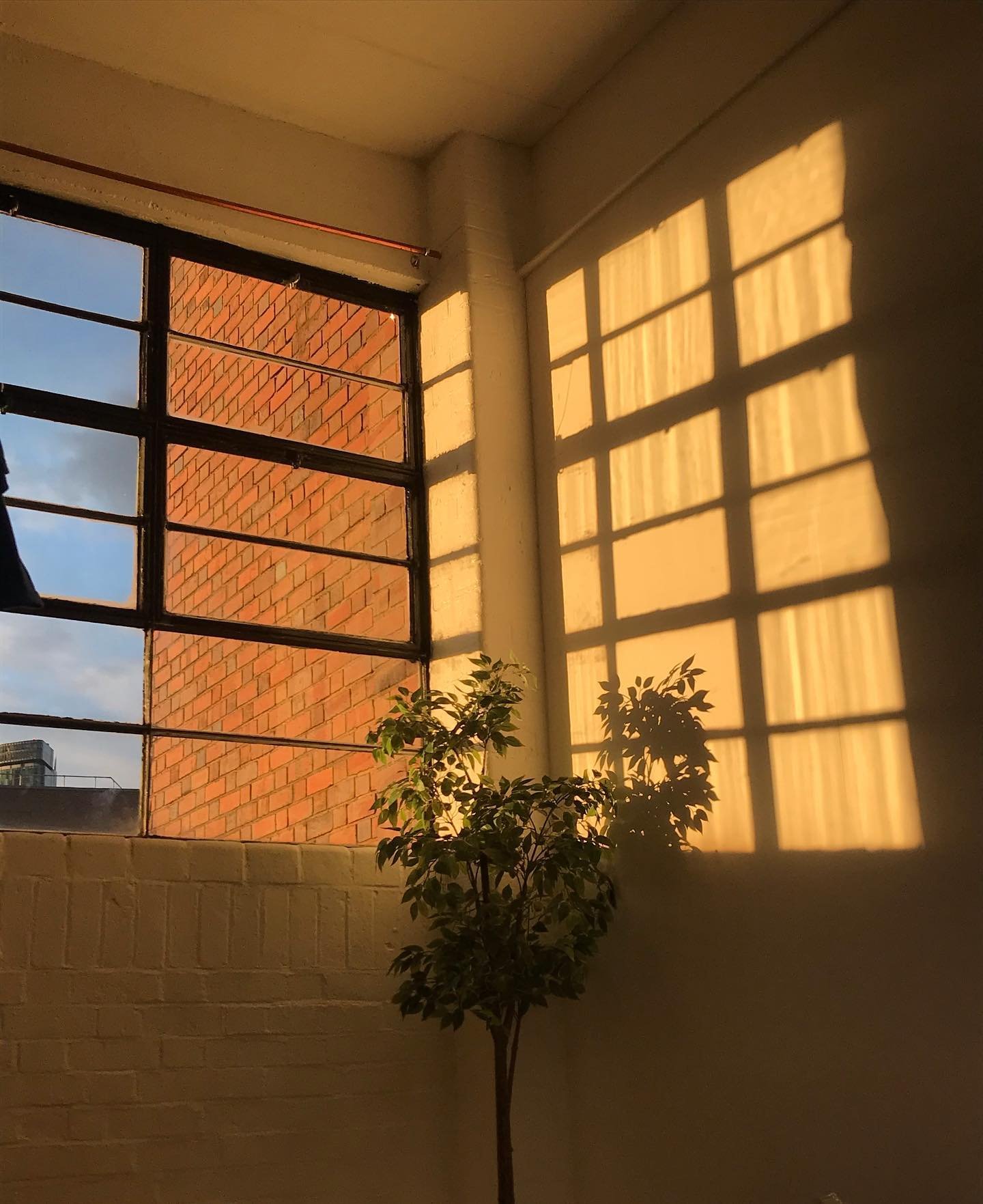 🌝🌝🌝🌝

*Client appreciation post*

Just wanted to say a big Thank you to all the people that have used our studio since things have opened back up, whether you&rsquo;re a regular client or someone who&rsquo;s just used us once, we really do apprec